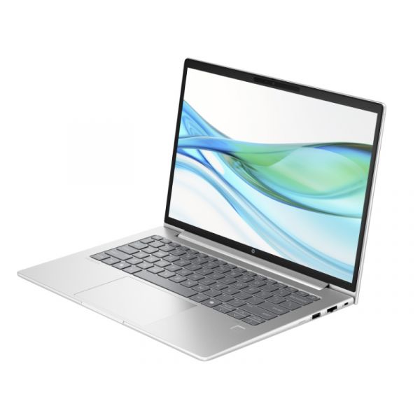 HP ProBook 440 G11 (9C078EA) Halszürke